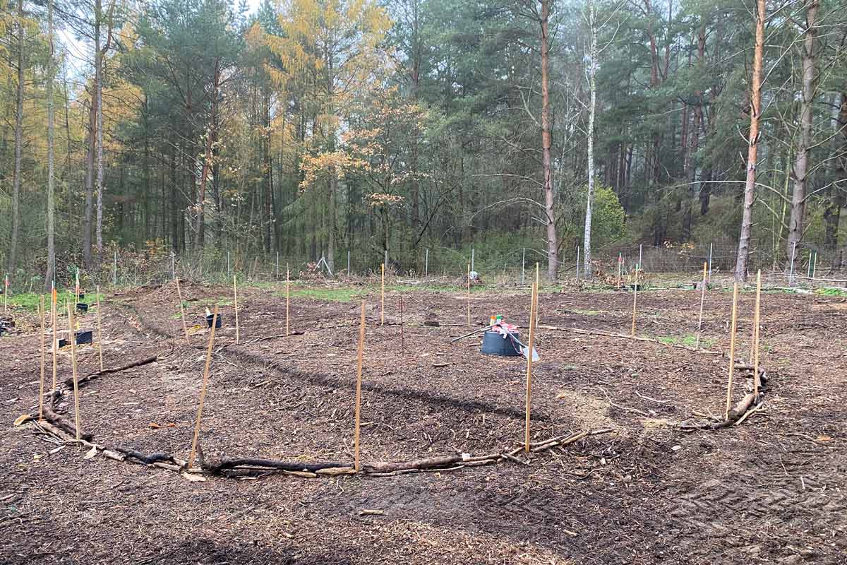 Essbarer Waldgarten, Permakultur und Naturgarten in Berlin und Brandenburg