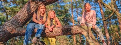 Bild Kindergeburtstag im Wald in Berlin und Brandenburg