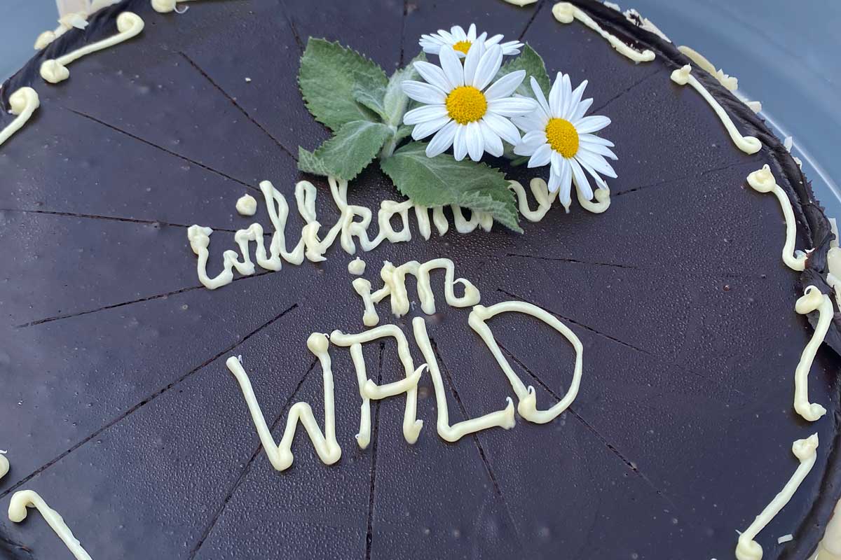 Kinderfest und Kindergeburtstag im und am Wald in Berlin und Brandenburg