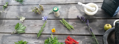 Bild Kräuterküche in Berlin und Brandenburg