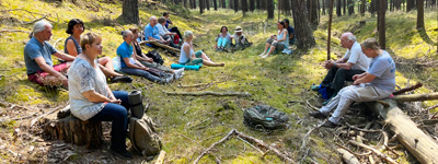 Bild Waldbaden in Berlin und Brandenburg