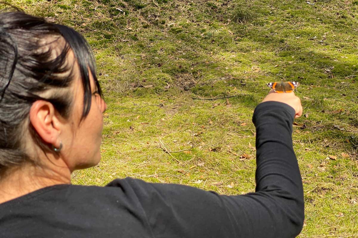 Waldbaden, Waldwanderung, Waldexkursion und Waldwissen in Berlin und Brandenburg