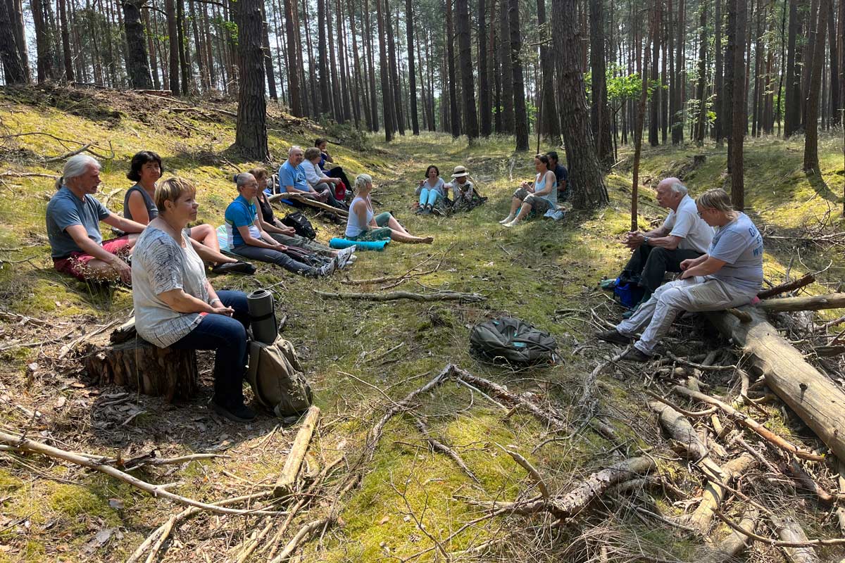 Waldbaden, Waldwanderung, Waldexkursion und Waldwissen in Berlin und Brandenburg