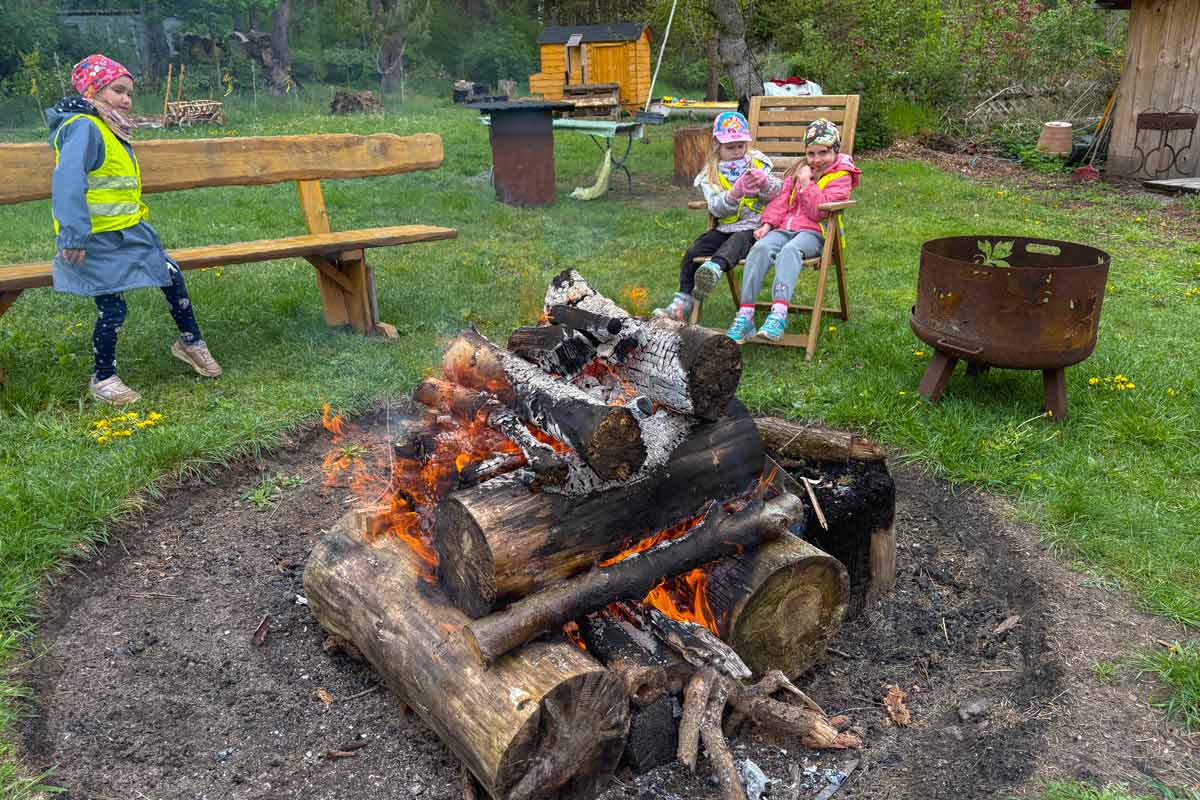 Walderlebnisse für Familien, Kinderfest, Kindergeburtstag, Waldwanderung, Waldexkursion und Waldwissen in Berlin und Brandenburg
