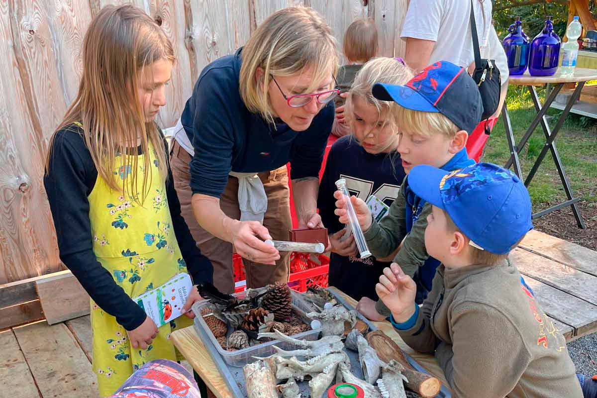 Walderlebnisse für Familien, Kinderfest, Kindergeburtstag, Waldwanderung, Waldexkursion und Waldwissen in Berlin und Brandenburg