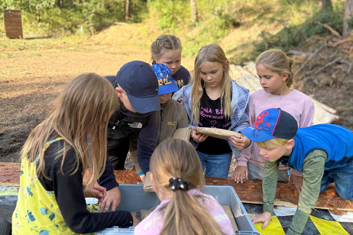 Walderlebnis für Schulen und Kitas, Waldbaden, Waldwanderung, Waldexkursion und Waldwissen in Berlin und Brandenburg