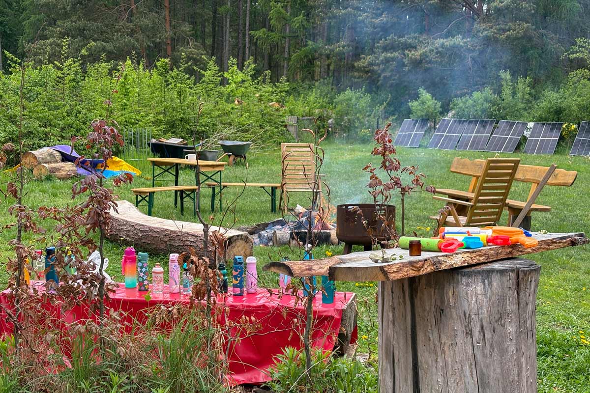 Walderlebnis für Schulen und Kitas, Waldbaden, Waldwanderung, Waldexkursion und Waldwissen in Berlin und Brandenburg