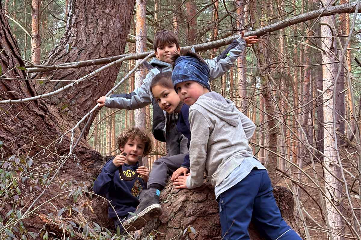 Walderlebnis für Schulen und Kitas, Waldbaden, Waldwanderung, Waldexkursion und Waldwissen in Berlin und Brandenburg
