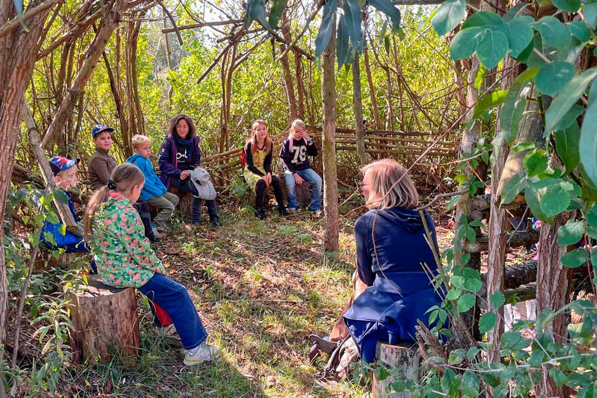 Waldbaden, Waldwanderung, Waldexkursion und Waldwissen in Berlin und Brandenburg