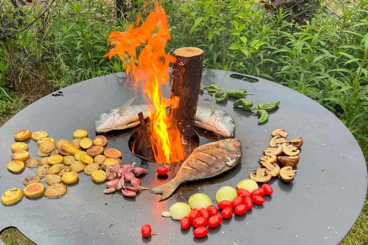 Waldbaden, Waldwanderung, Waldexkursion und Waldwissen in Berlin und Brandenburg