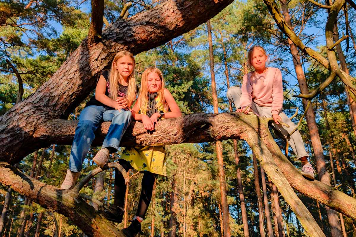 Waldbaden, Waldwanderung, Waldexkursion und Waldwissen in Berlin und Brandenburg