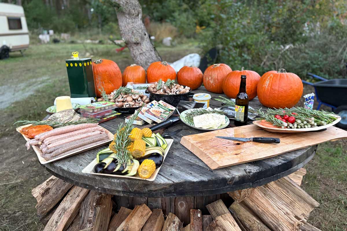Waldbaden, Waldwanderung, Waldexkursion und Waldwissen in Berlin und Brandenburg