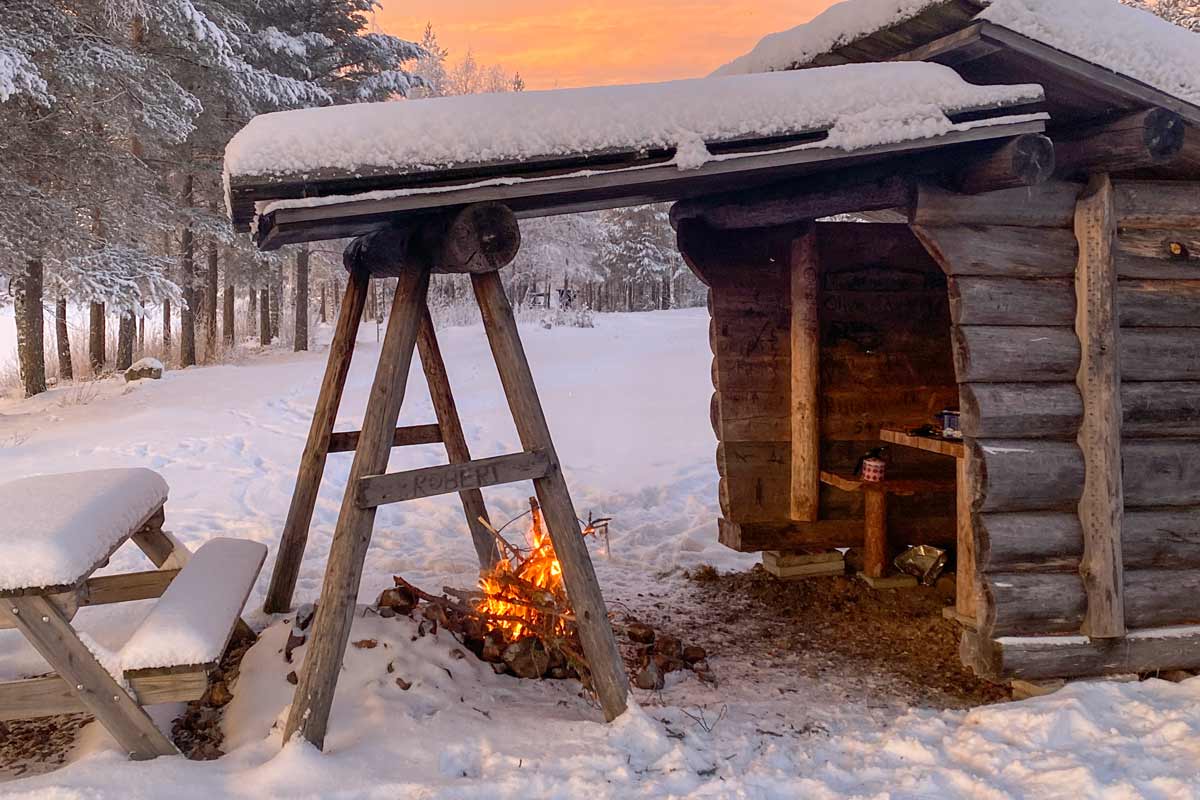 Waldbaden, Waldwanderung, Waldexkursion und Waldwissen in Berlin und Brandenburg