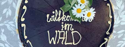 Bild ein Tag im Wald von Berlin und Brandenburg