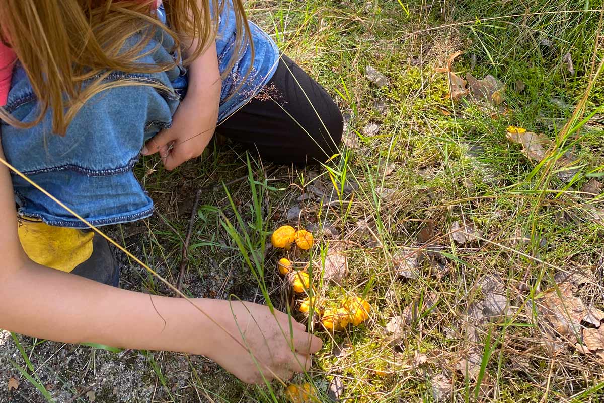 Zurück zu den Wurzeln (Arbeitstechniken alter Kulturen) an einem Tag im Wald von Berlin-Brandenburg