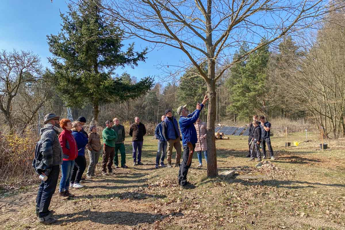 Zurück zu den Wurzeln (Arbeitstechniken alter Kulturen) an einem Tag im Wald von Berlin-Brandenburg